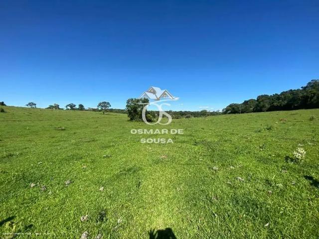 Sítio / Chácara para Venda em Cesário Lange/SP Zona Rural 2 Quartos