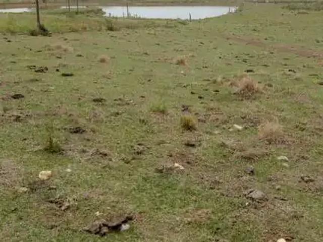 Sítio / Chácara para Venda em Cesário Lange/SP Zona Rural 2 Quartos