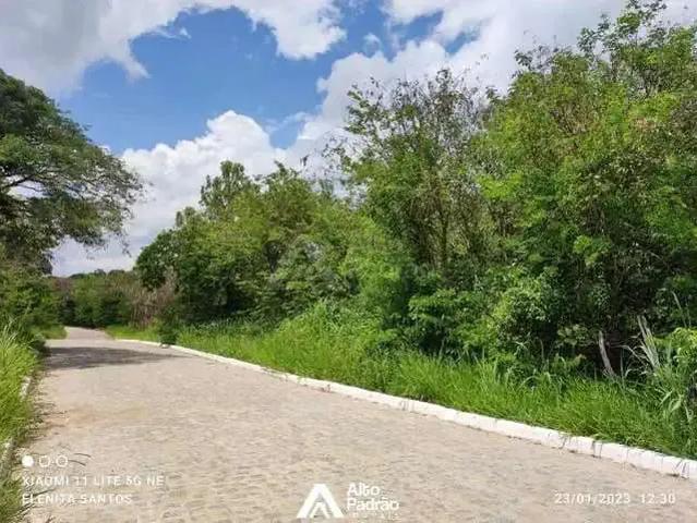 Sítio / Chácara para Venda em Chã Grande/PE Centro