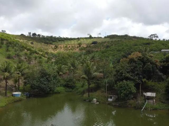 Sítio / Chácara para Venda em Chã Grande/PE Zona Rural