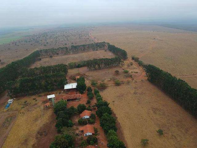 Sítio / Chácara para Venda em Chapadão do Céu/GO Zona Rural