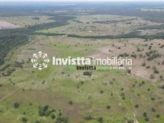 Sítio / Chácara para Venda em Chapada de Areia/TO Zona Rural