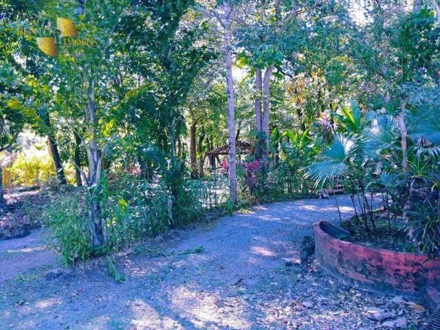 Sítio / Chácara para Venda em Chapada dos Guimarães/MT Centro 3 Quartos