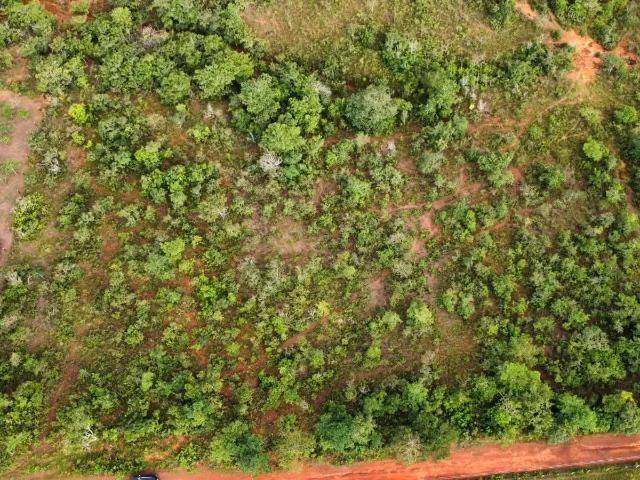 Sítio / Chácara para Venda em Chapada dos Guimarães/MT Água Fria 1 Quartos