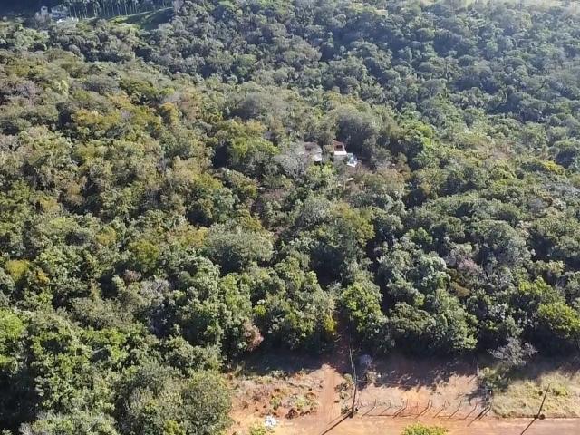 Sítio / Chácara para Venda em Chapada dos Guimarães/MT Florada da Serra 2 Quartos