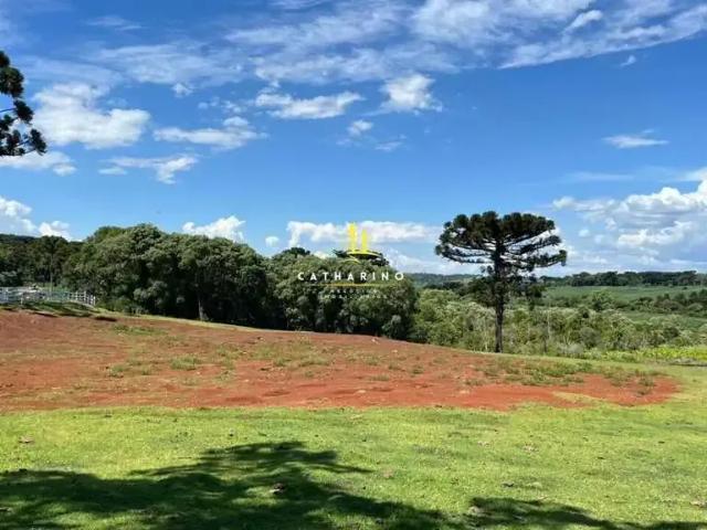 Sítio / Chácara para Venda em Chapecó/SC Centro Marechal Bormann 3 Quartos
