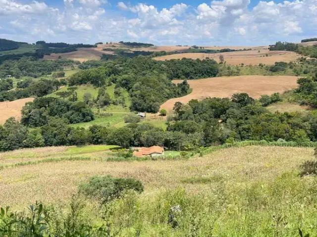 Sítio / Chácara para Venda em Chopinzinho/PR Zona Rural 2 Quartos