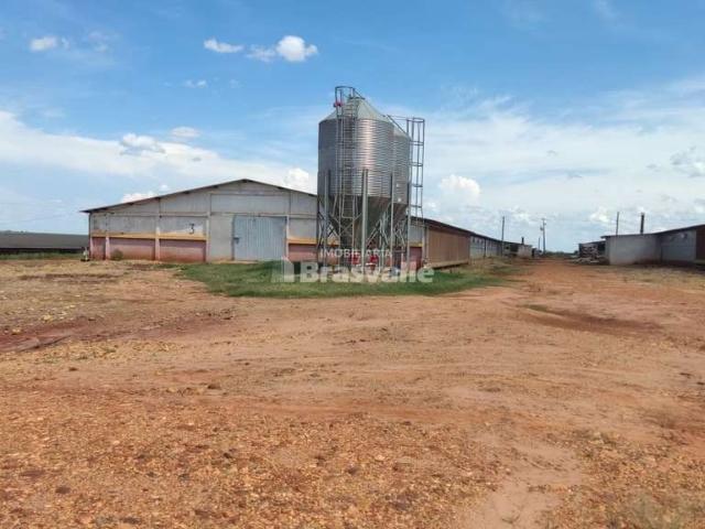 Sítio / Chácara para Venda em Chopinzinho/PR Zona Rural