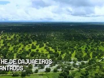 Sítio / Chácara para Venda em Chorozinho/CE Patos dos Liberatos