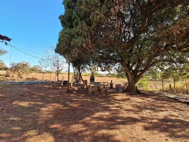 Sítio / Chácara para Venda em Cianorte/PR Área Rural de Cianorte 1 Quartos