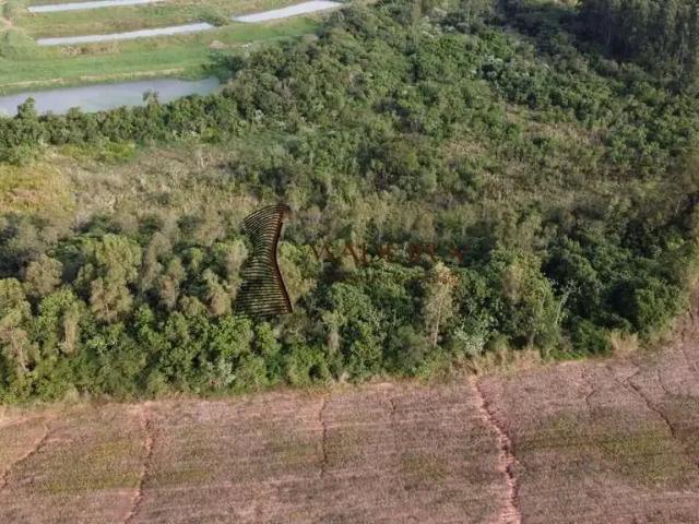 Sítio / Chácara para Venda em Cianorte/PR Área Rural de Cianorte 1 Quartos