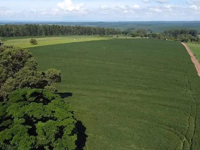 Sítio / Chácara para Venda em Cianorte/PR Área Rural de Cianorte 2 Quartos
