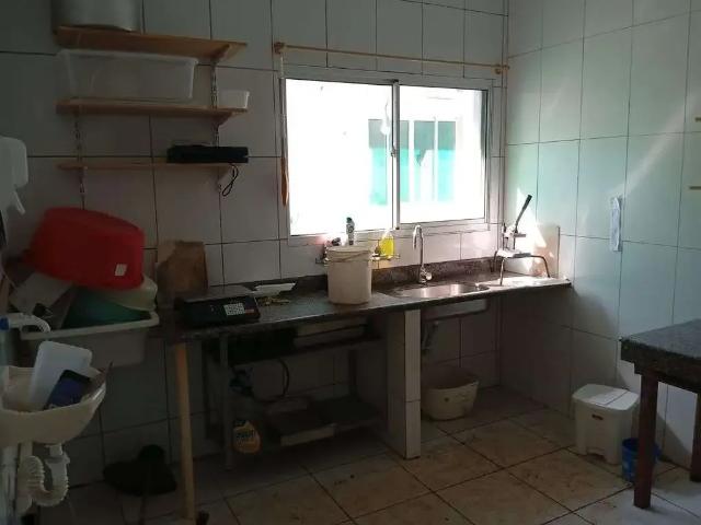 Sítio / Chácara para Venda em Cianorte/PR Área Rural de Cianorte