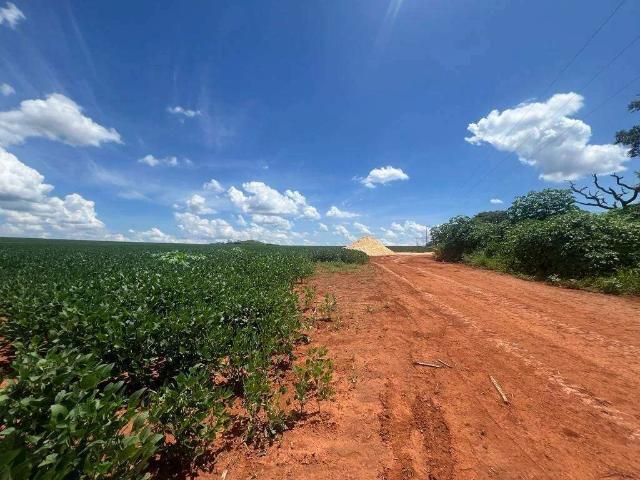 Sítio / Chácara para Venda em Cidade Ocidental/GO Área Rural de Cidade Ocidental 2 Quartos