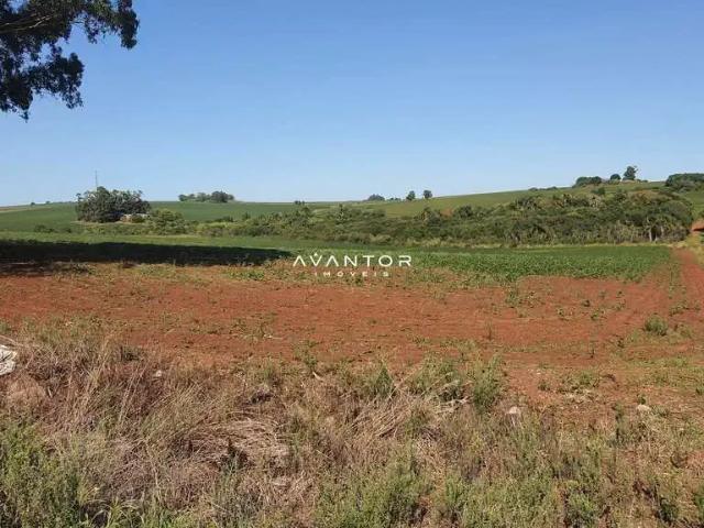Sítio / Chácara para Venda em Cruz Alta/RS Área Rural de Cruz Alta