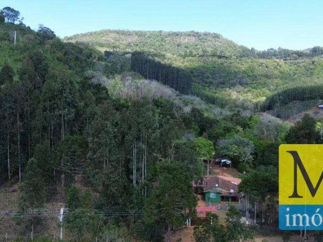 Sítio / Chácara para Venda em Cruz Machado/PR Zona Rural 5 Quartos