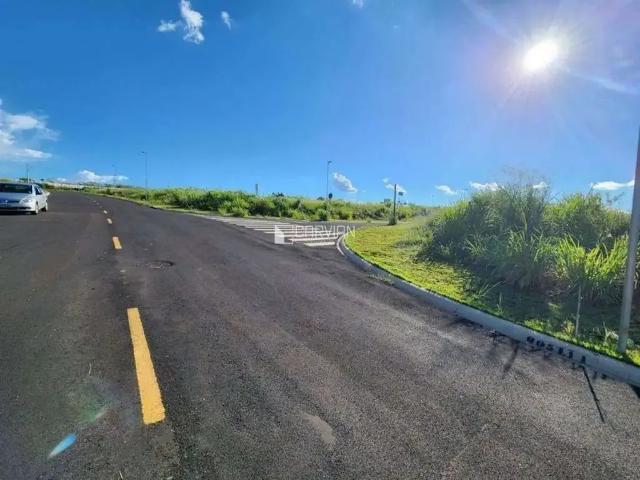 Sítio / Chácara para Venda em Cravinhos/SP Centro