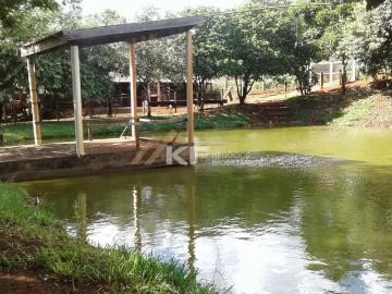 Sítio / Chácara para Venda em Cravinhos/SP Centro 6 Quartos