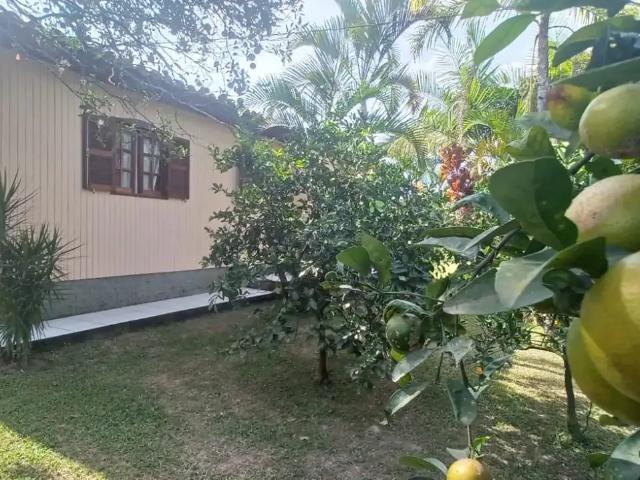 Sítio / Chácara para Venda em Criciúma/SC Área Rural de Criciúma 2 Quartos