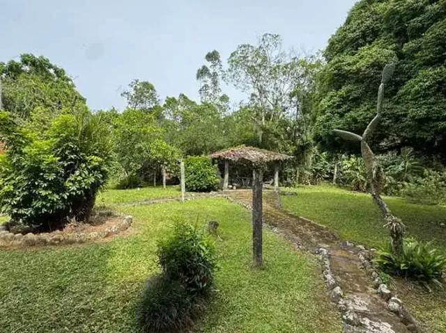 Sítio / Chácara para Venda em Criciúma/SC Primeira Linha 1 Quartos