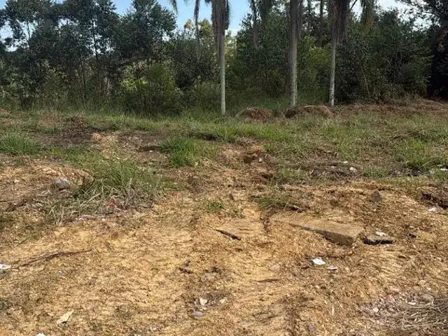 Sítio / Chácara para Venda em Criciúma/SC Primeira Linha