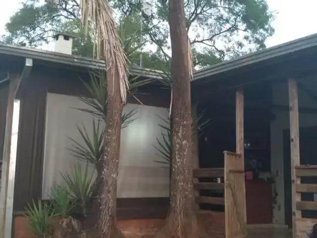 Sítio / Chácara para Venda em Cristais Paulista/SP Zona Rural 3 Quartos