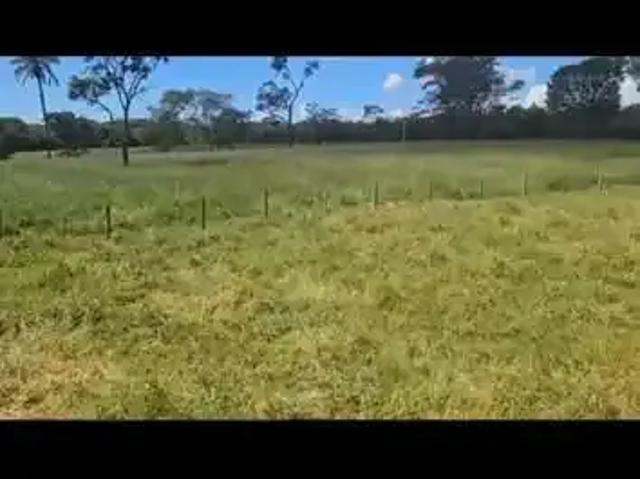 Sítio / Chácara para Venda em Cristais Paulista/SP Centro 1 Quartos