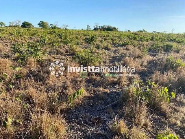Sítio / Chácara para Venda em Cristalândia/TO Setor Central