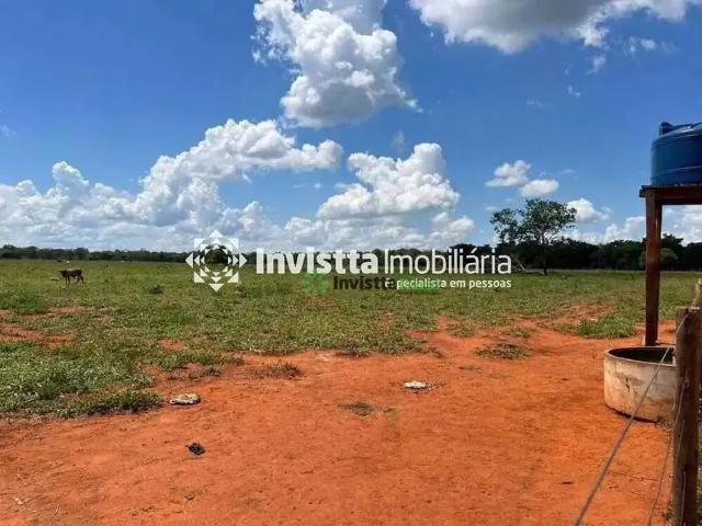 Sítio / Chácara para Venda em Cristalândia/TO Zona Rural
