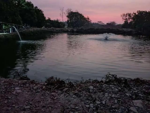 Sítio / Chácara para Venda em Cuiabá/MT Área Rural de Cuiabá