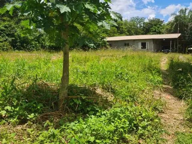 Sítio / Chácara para Venda em Cuiabá/MT Zona Rural 4 Quartos