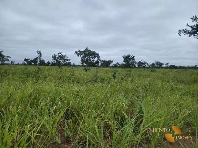 Sítio / Chácara para Venda em Cuiabá/MT Zona Rural