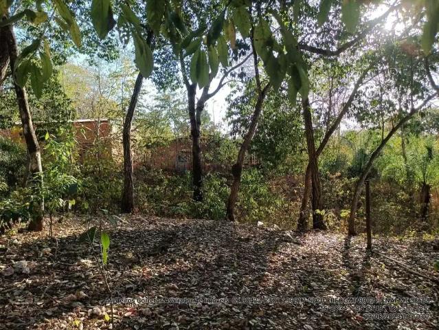 Sítio / Chácara para Venda em Cuiabá/MT Zona Rural 1 Quartos