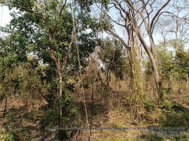 Sítio / Chácara para Venda em Cuiabá/MT Zona Rural 2 Quartos