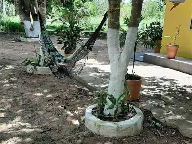 Sítio / Chácara para Venda em Cuiabá/MT Zona Rural 2 Quartos