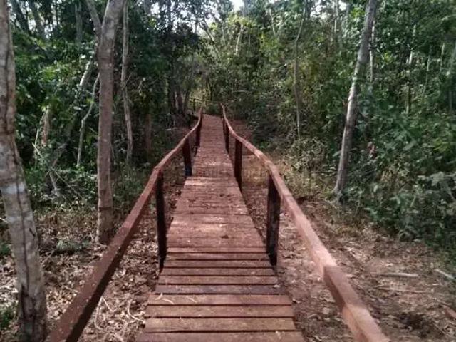Sítio / Chácara para Venda em Cuiabá/MT Zona Rural 3 Quartos