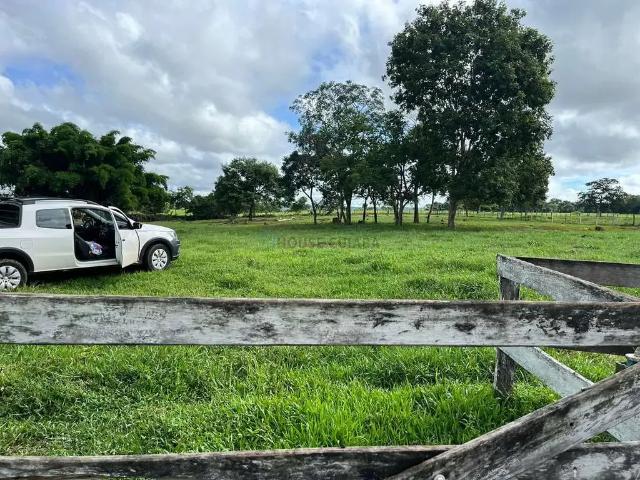 Sítio / Chácara para Venda em Cuiabá/MT Zona Rural 3 Quartos