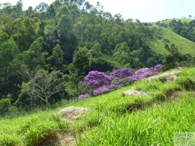 Sítio / Chácara para Venda em Cunha/SP Centro