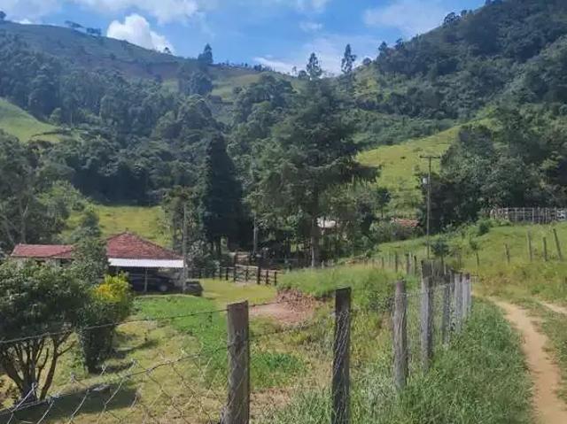Sítio / Chácara para Venda em Cunha/SP Centro