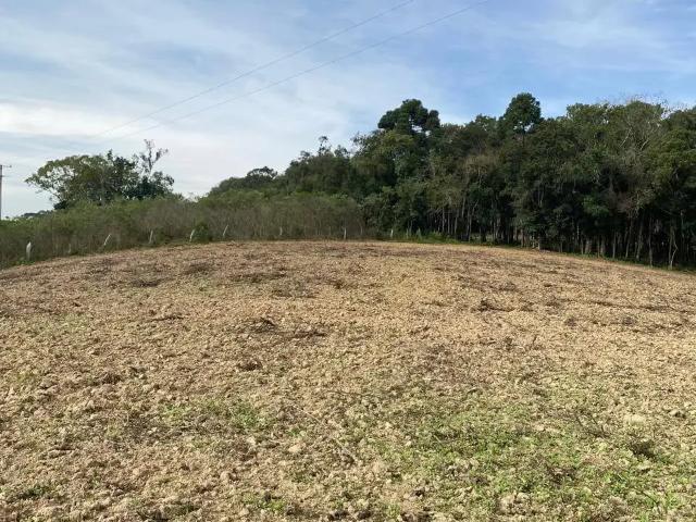 Sítio / Chácara para Venda em Curitiba/PR Zona Rural