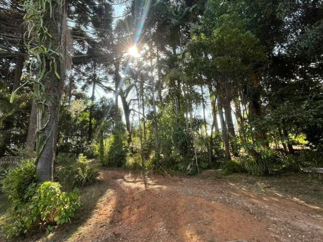 Sítio / Chácara para Venda em Curitiba/PR São Miguel 6 Quartos