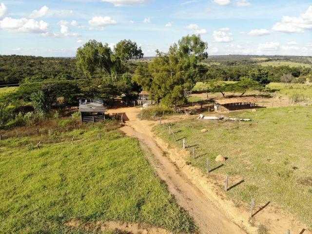 Sítio / Chácara para Venda em Curvelo/MG Área Rural de Curvelo