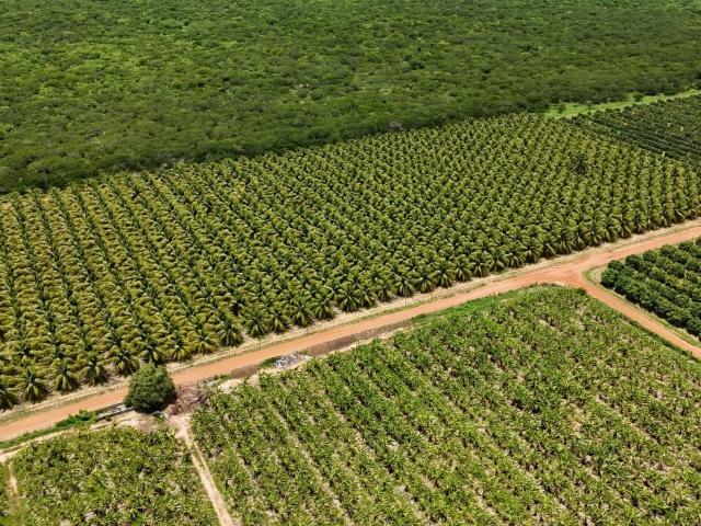 Sítio / Chácara para Venda em Açu/RN Centro