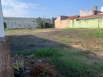 Sítio / Chácara para Venda em Americana/SP Vila Bertini