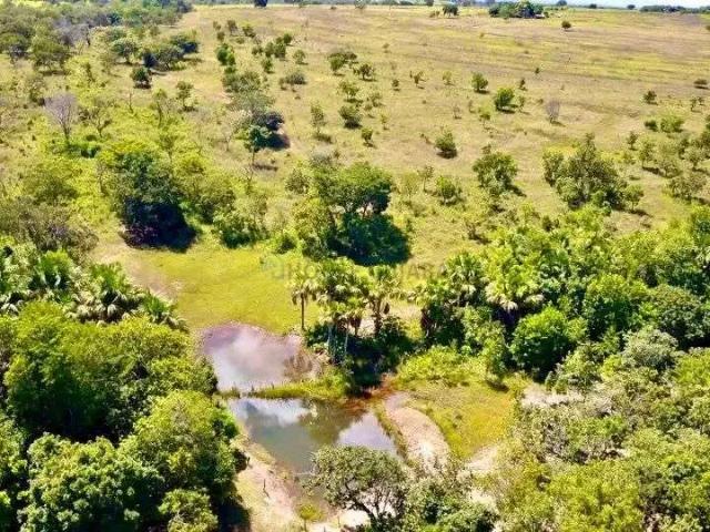 Sítio / Chácara para Venda em Amorinópolis/GO Zona Rural 3 Quartos