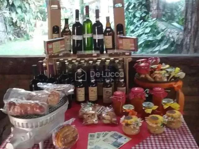 Sítio / Chácara para Venda em Amparo/SP Área Rural de Amparo 3 Quartos