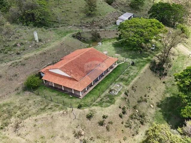 Sítio / Chácara para Venda em Amparo/SP Jardim Brasil 5 Quartos