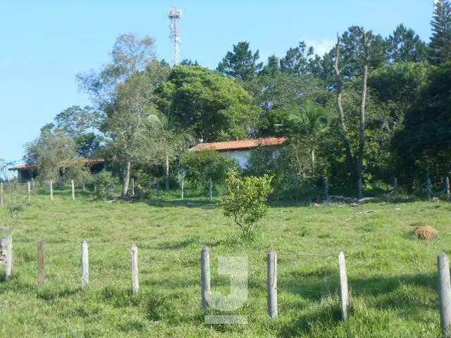 Sítio / Chácara para Venda em Amparo/SP Vila Nova 4 Quartos