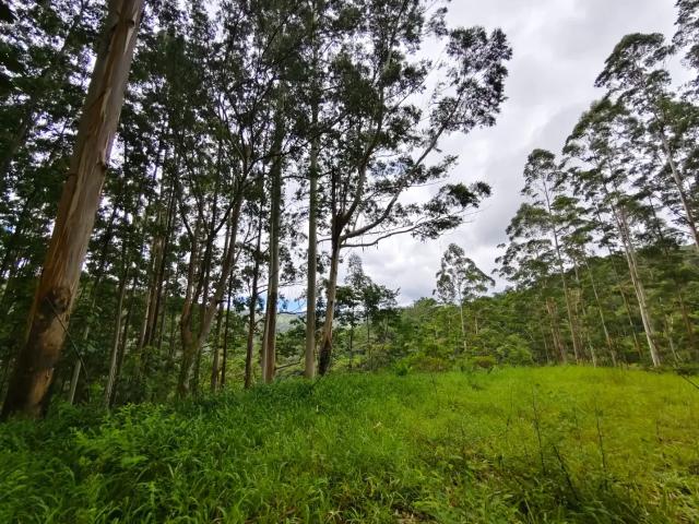 Sítio / Chácara para Venda em Antônio Carlos/SC Vila Doze