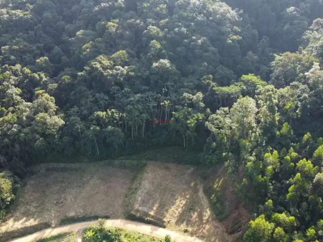 Sítio / Chácara para Venda em Antônio Carlos/SC Vila Doze